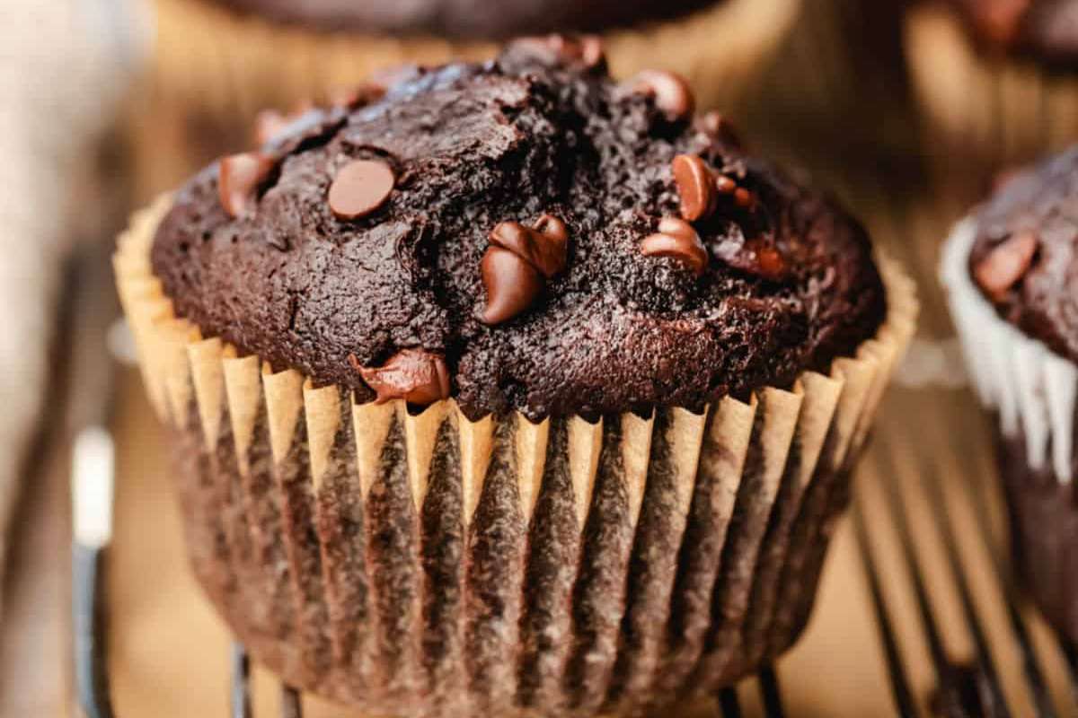 Double Chocolate Chip Muffins. 