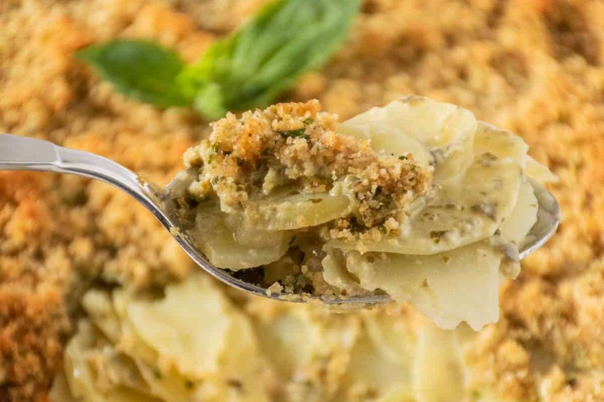 Pesto Herb Scalloped Potatoes.